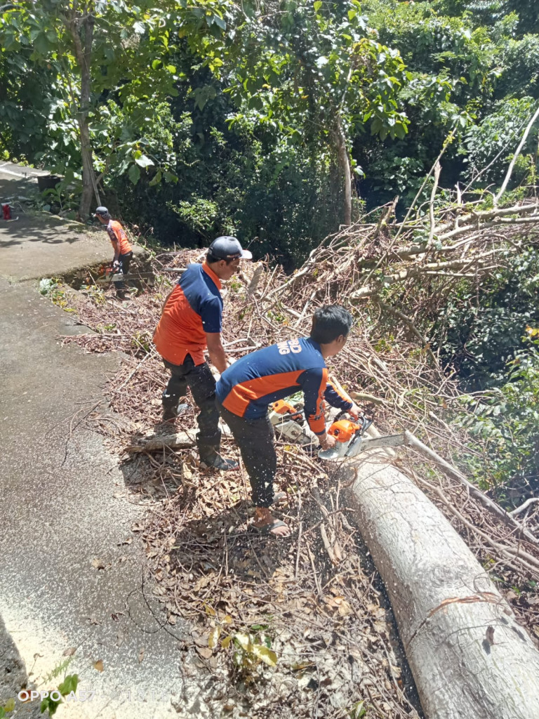 Pohon Tumbang akibat Cuaca Ekstrim di Pura Dalem Desa Goa Dalem Pingit, Banjar Suluban, Desa Pecatu, Kecamatan Kuta Selatan Tanggal 07 Januari 2023
